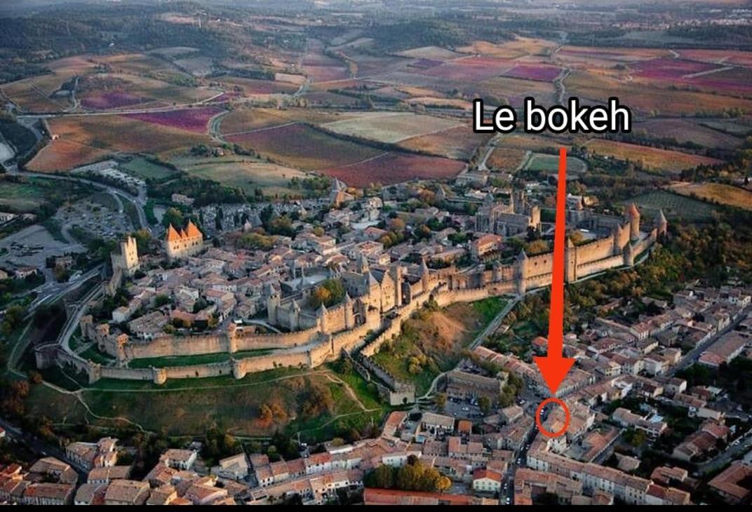 Le Bokeh Apartments - Face à la Cité Médiévale Carcassonne Esterno foto